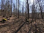 IMG_20260322_101839