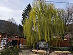 IMG_20260328_135714