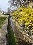 IMG_20260328_113237