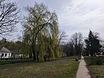 IMG_20260328_113658