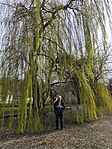 IMG_20260328_113624