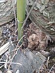 IMG_20260321_134956