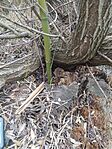 IMG_20260321_135036