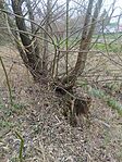 IMG_20260321_135047
