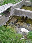IMG_20260321_135254