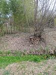 IMG_20260321_135355