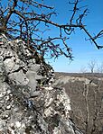 IMG_20260314_085127