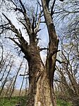IMG_20260327_111435