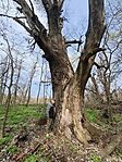 IMG_20260327_111535
