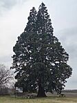 IMG_20260327_132621