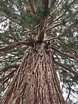 IMG_20260327_132734