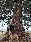 IMG_20260327_133317