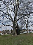 IMG_20260323_125329