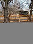 IMG_20260321_171231_1774120984531