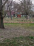 IMG_20260321_171307