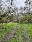 IMG_4839