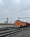 IMG_4841