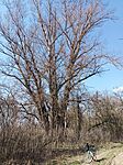 IMG_20260321_102453_221