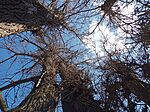 IMG_20260321_102818_760