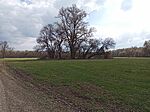 IMG_20260321_111430_918