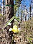 IMG_20260405_130601