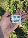 IMG_20260406_175944