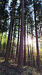 IMG_20260407_171307