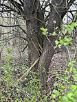 IMG_2428