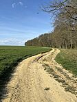 IMG_2476