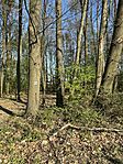 IMG_2479
