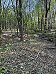 IMG_2480