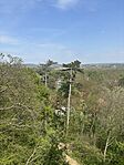 IMG_2518