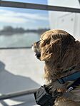 IMG_2531
