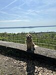 IMG_2548