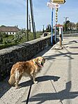 IMG_2540
