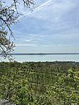 IMG_2552