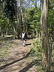 IMG_2553