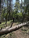 IMG_2554