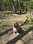 IMG_2556