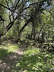 IMG_2559