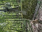 IMG_2561