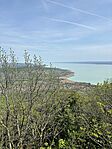 IMG_2568