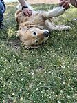 IMG_2583