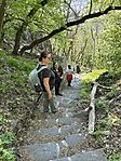 IMG_2590