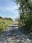 IMG_2600