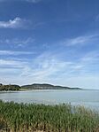 IMG_2601
