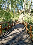 IMG_20260407_155721855_MFNR
