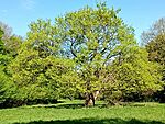 IMG_20260420_092613151_SR