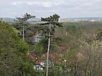 IMG_20260415_150925