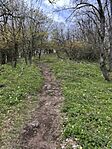 IMG_2703